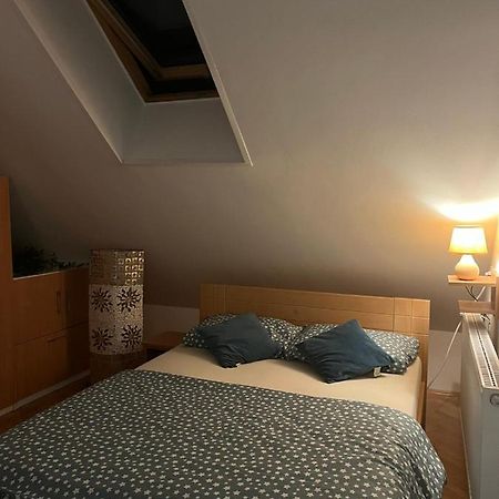 Prestige Apartment 3 ノヴィ・サド エクステリア 写真