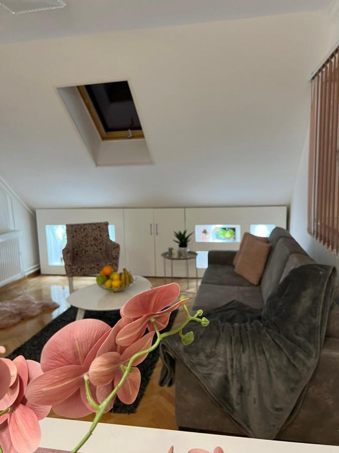 Prestige Apartment 3 ノヴィ・サド エクステリア 写真